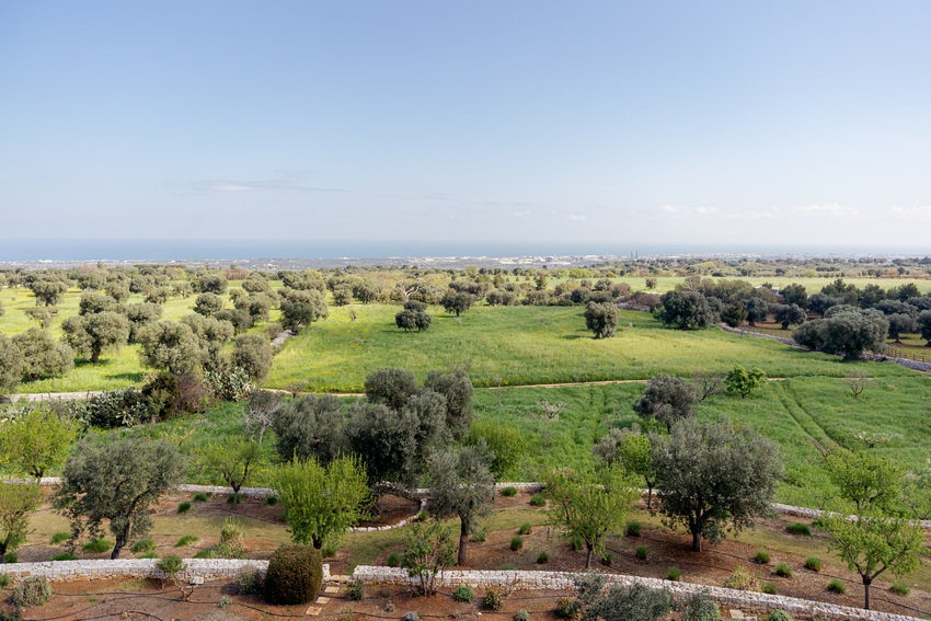 Masseria Petrarolo · photograph 13