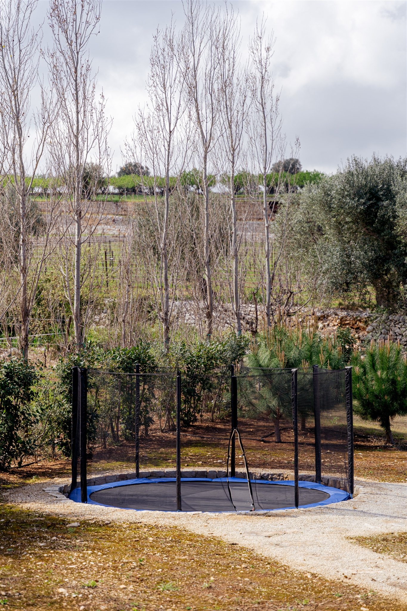 The Trullo trampoline among the trees