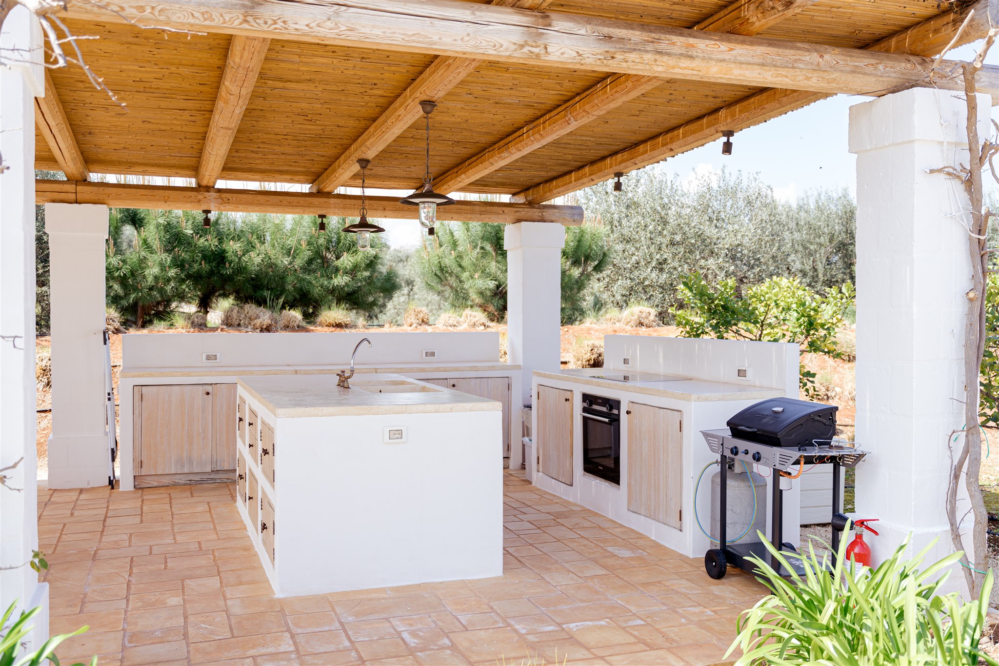 Outdoor kitchen with barbecue beneath the pergola