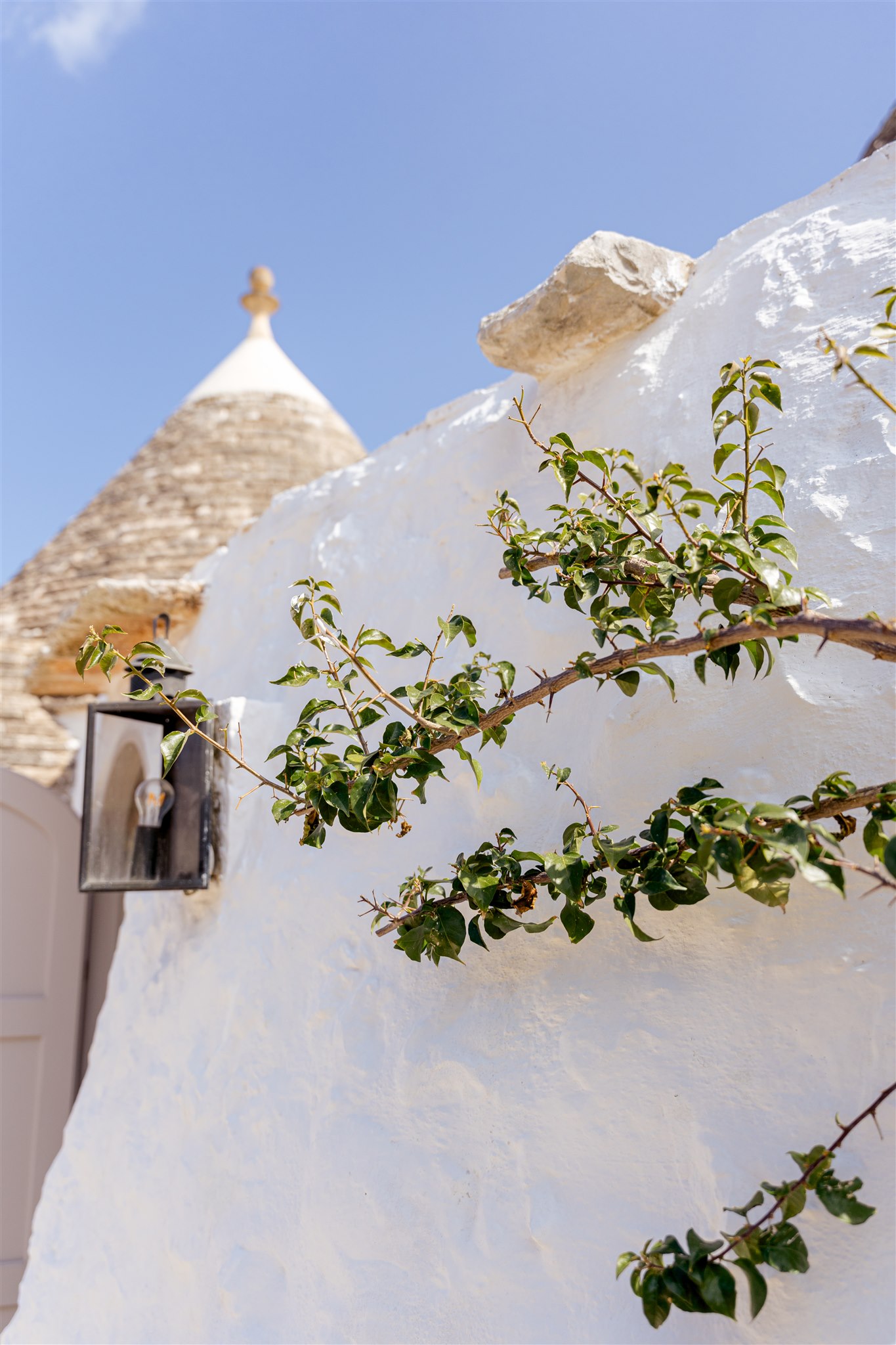 Whitewashed wall, climbing greenery and a Trullo cone