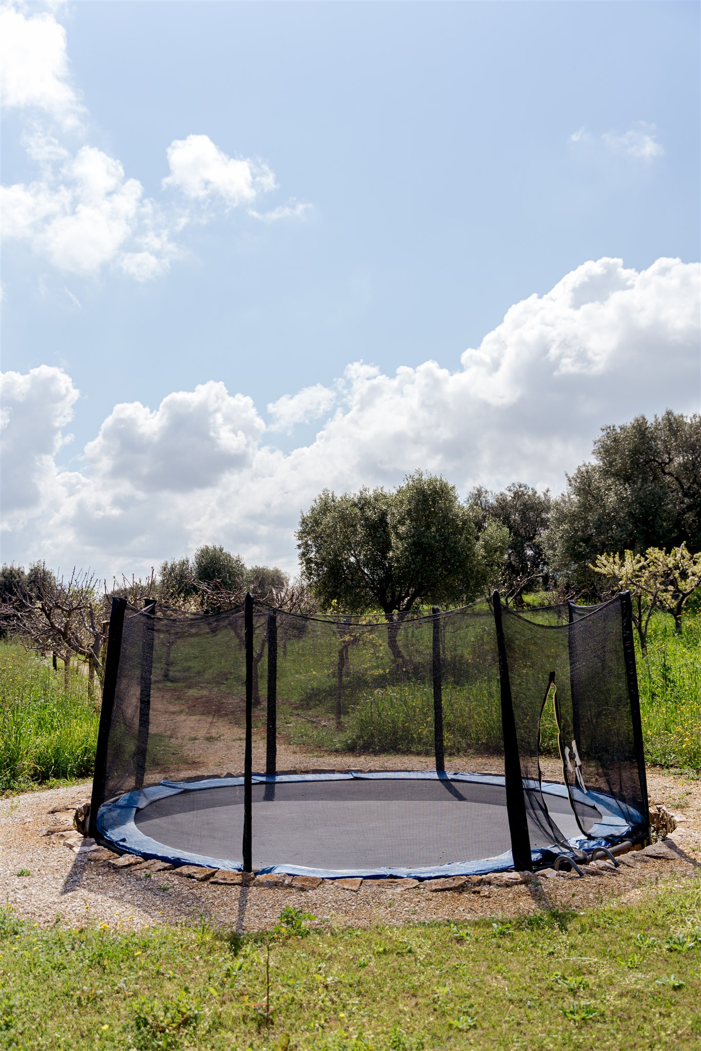 The trampoline among the olive trees