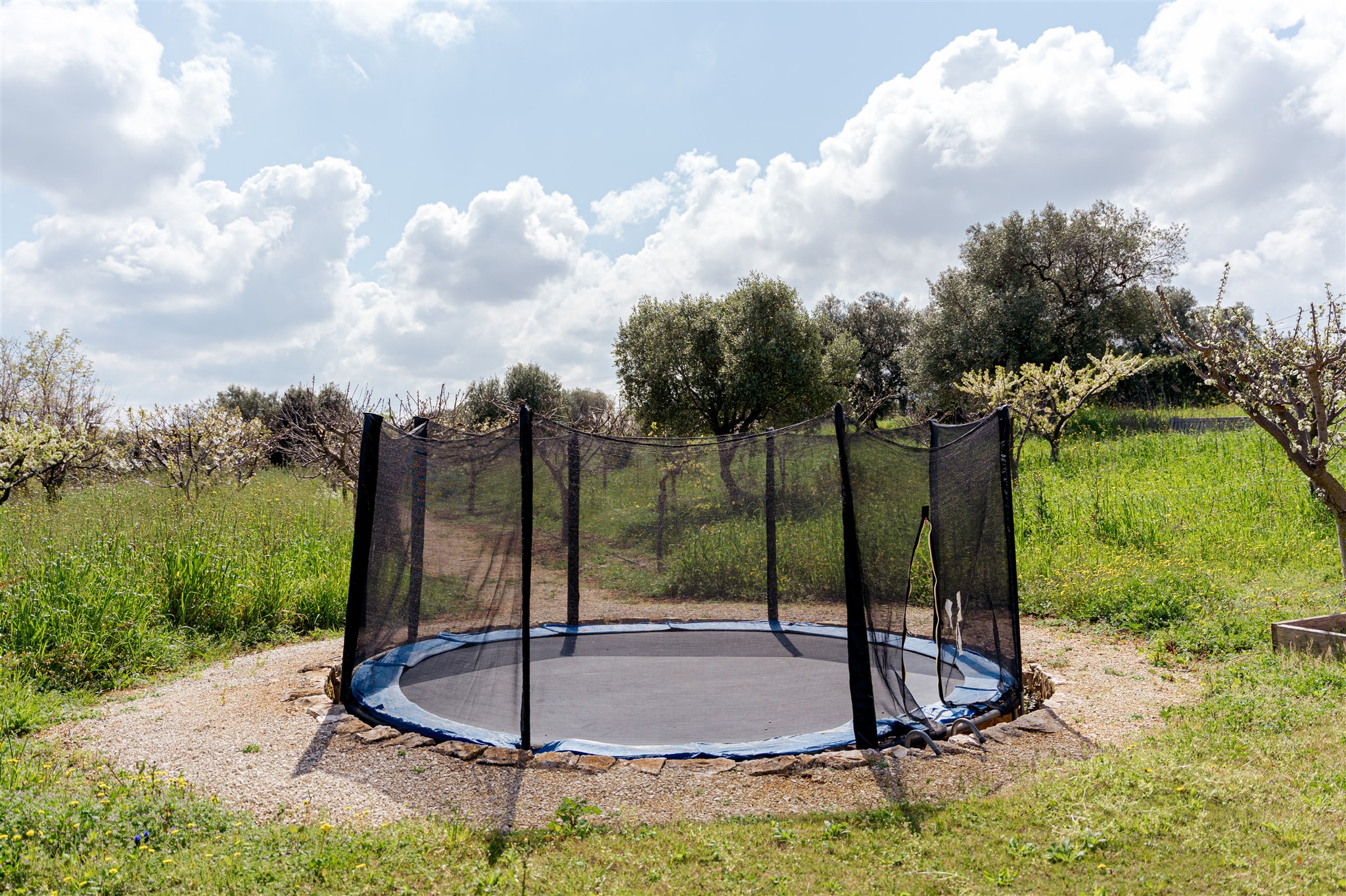 The trampoline among the olive trees