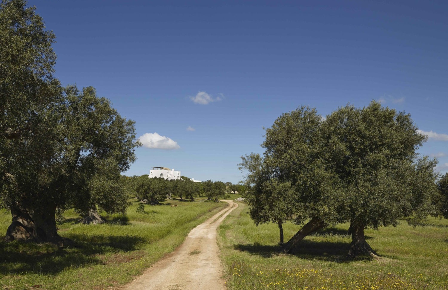 Masseria Petrarolo · photograph 6